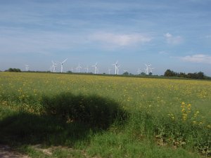 RTF Neu Wulmstorf 096